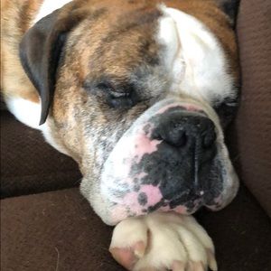 Meet your Posher, Philip